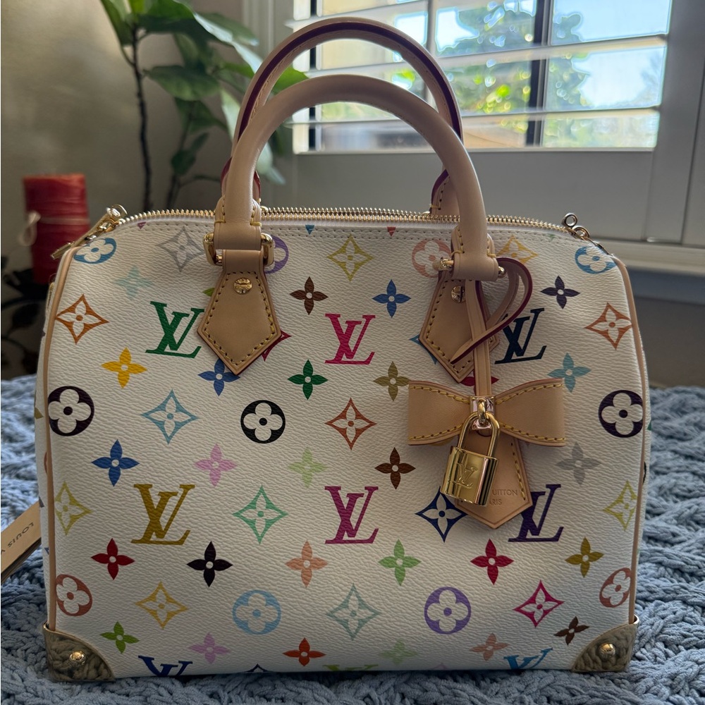 Louis Vuitton Murakami Multicolor Speedy 25